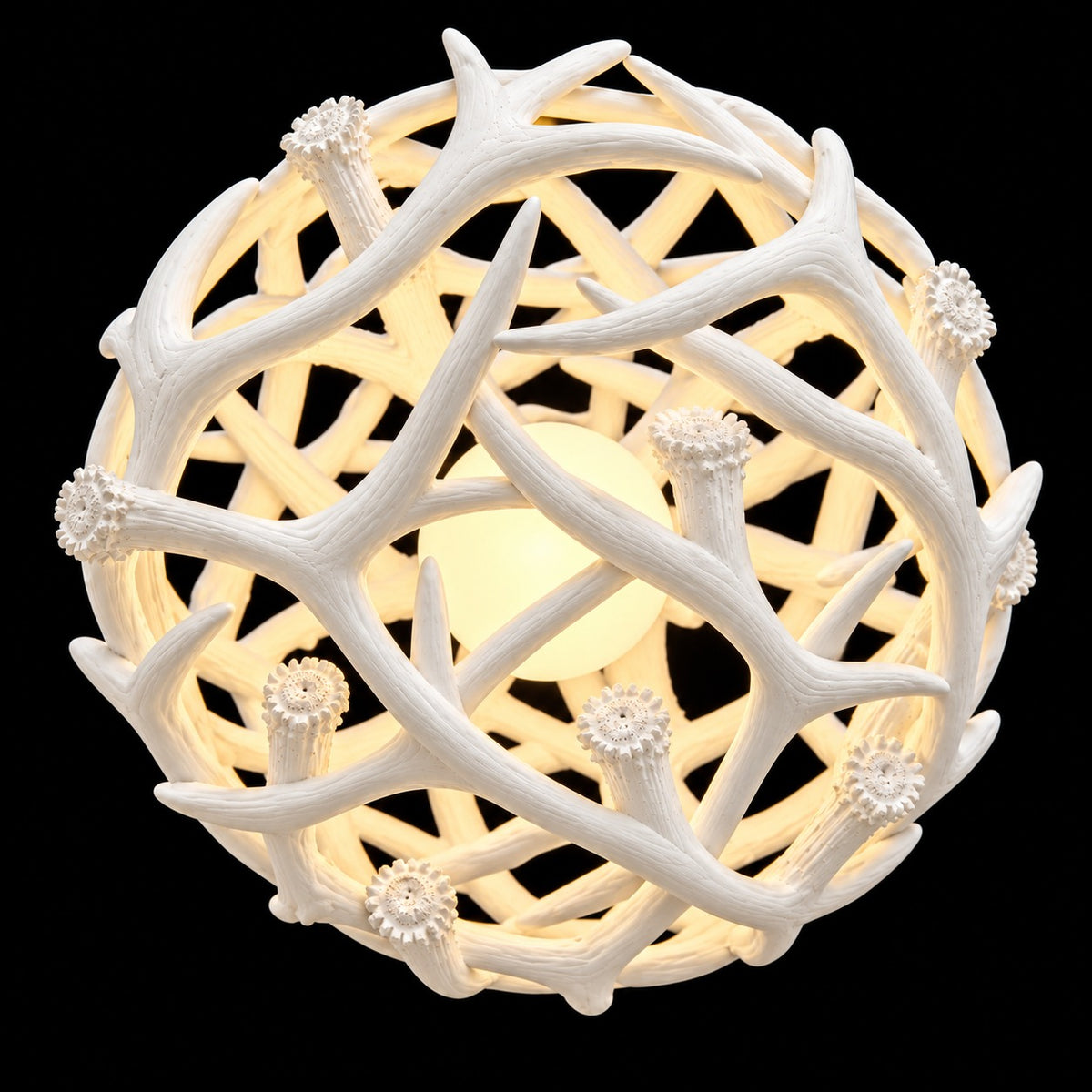 Underside view of white antler ball chandelier showing antler burrs and center globe bulb - Rocky Mountain Antler Works