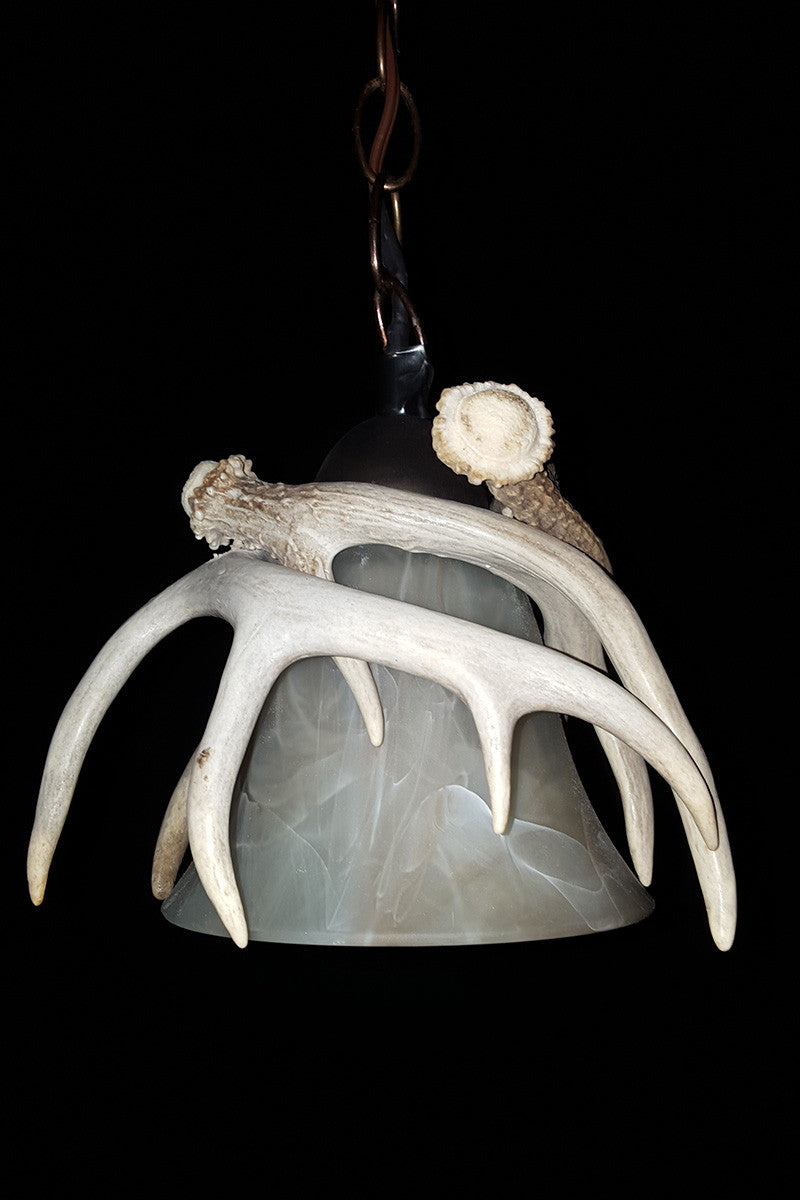 Antler Pendant Light - Rocky Mountain Antler Works