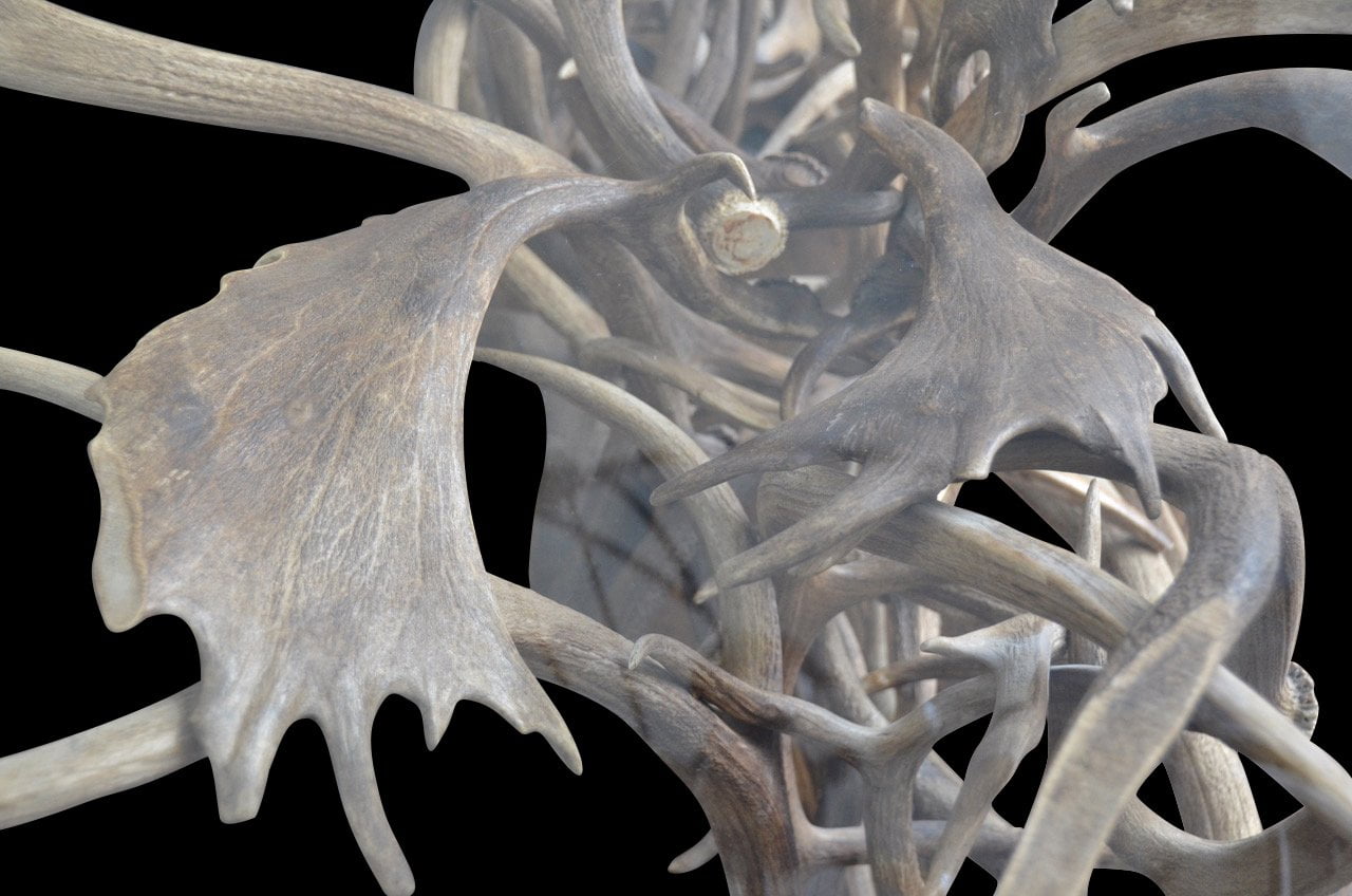 Amazing elk/fallow deer antler dining room table - Rocky Mountain Antler Works