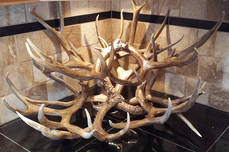 Double Decker – Mule Deer Wine Rack – 10+ Bottle - Rocky Mountain Antler Works