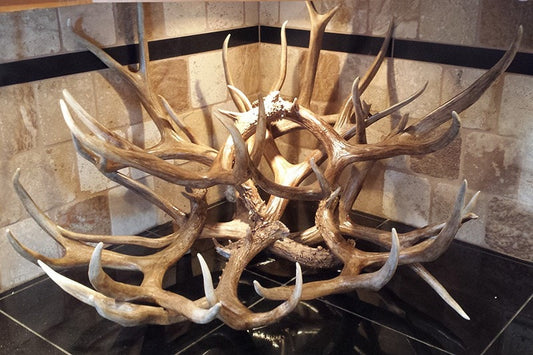 Double Decker – Mule Deer Wine Rack – 10+ Bottle - Rocky Mountain Antler Works
